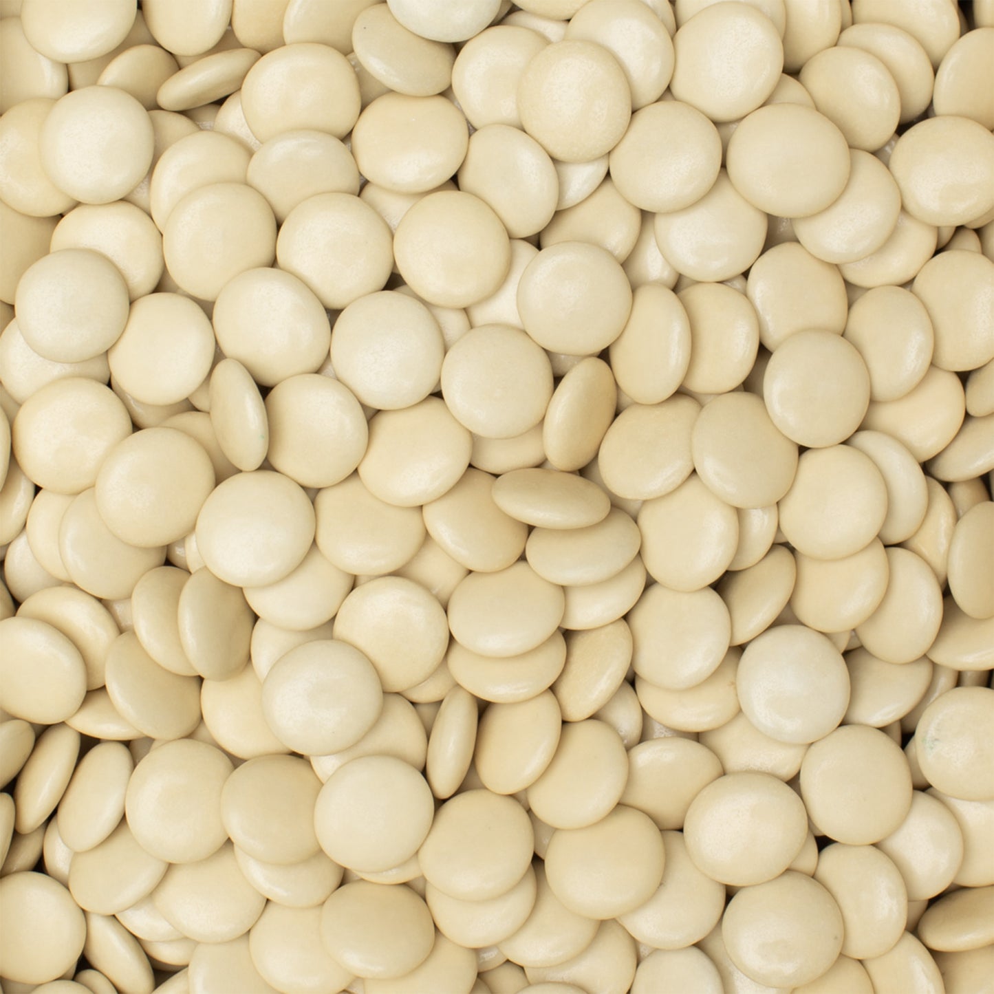 Lentilles champagne
