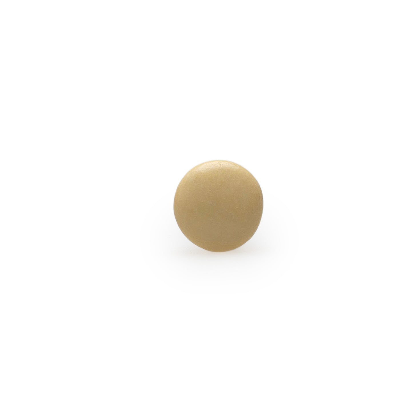 Lentilles champagne